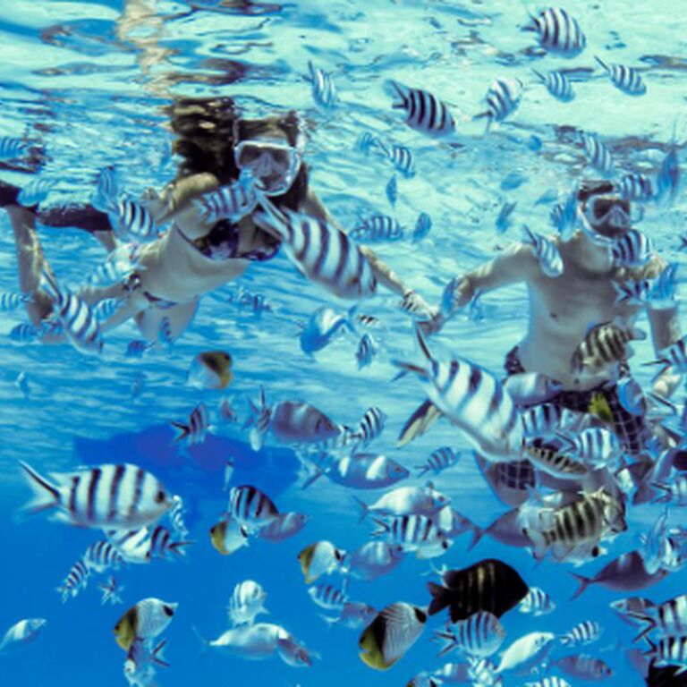 Omoa Rangiroa Tours