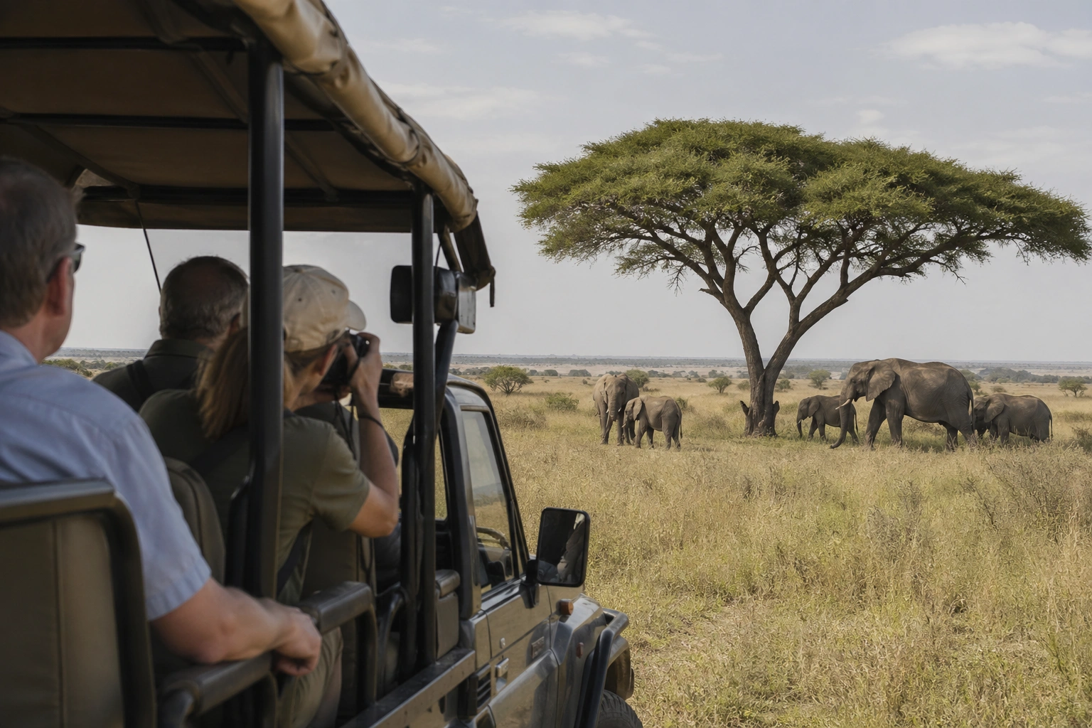 Enjobe Safaris