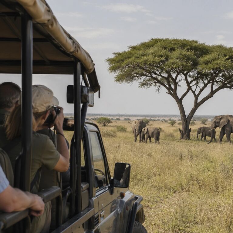 Enjobe Safaris