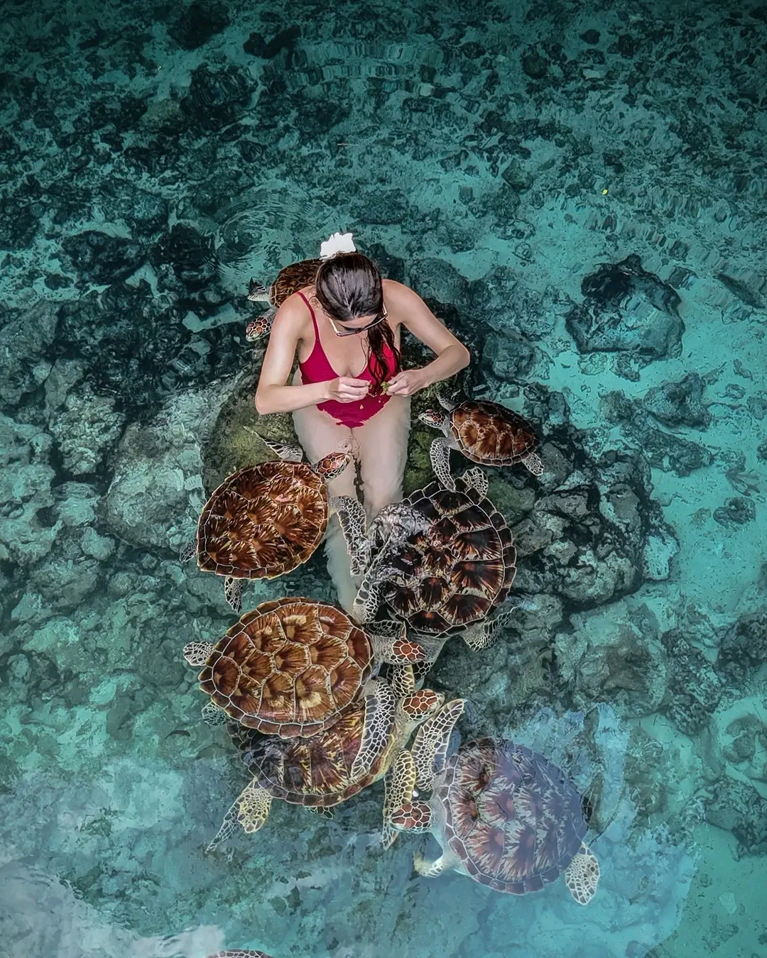 BABTOA TOURS & SAFARI LTD