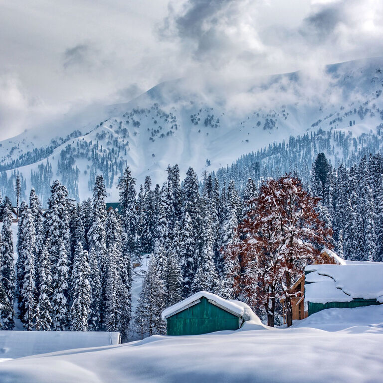 ALHABIB TRAVELS