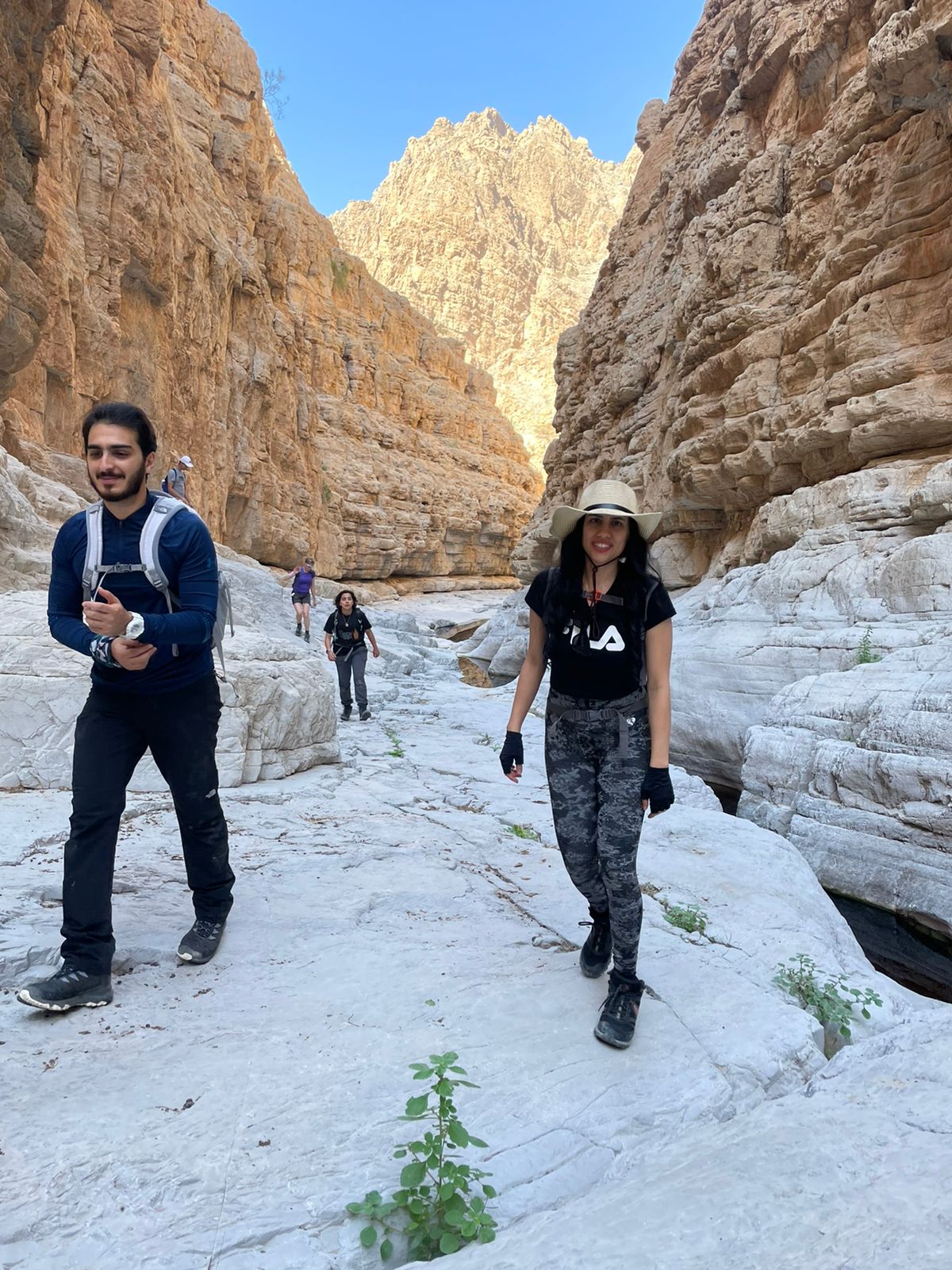 Alpine Trekkers