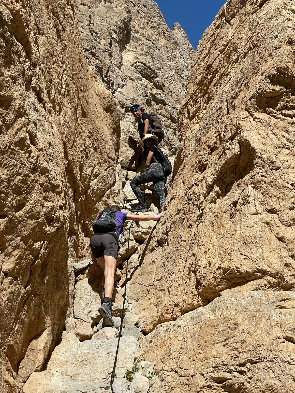 Alpine Trekkers