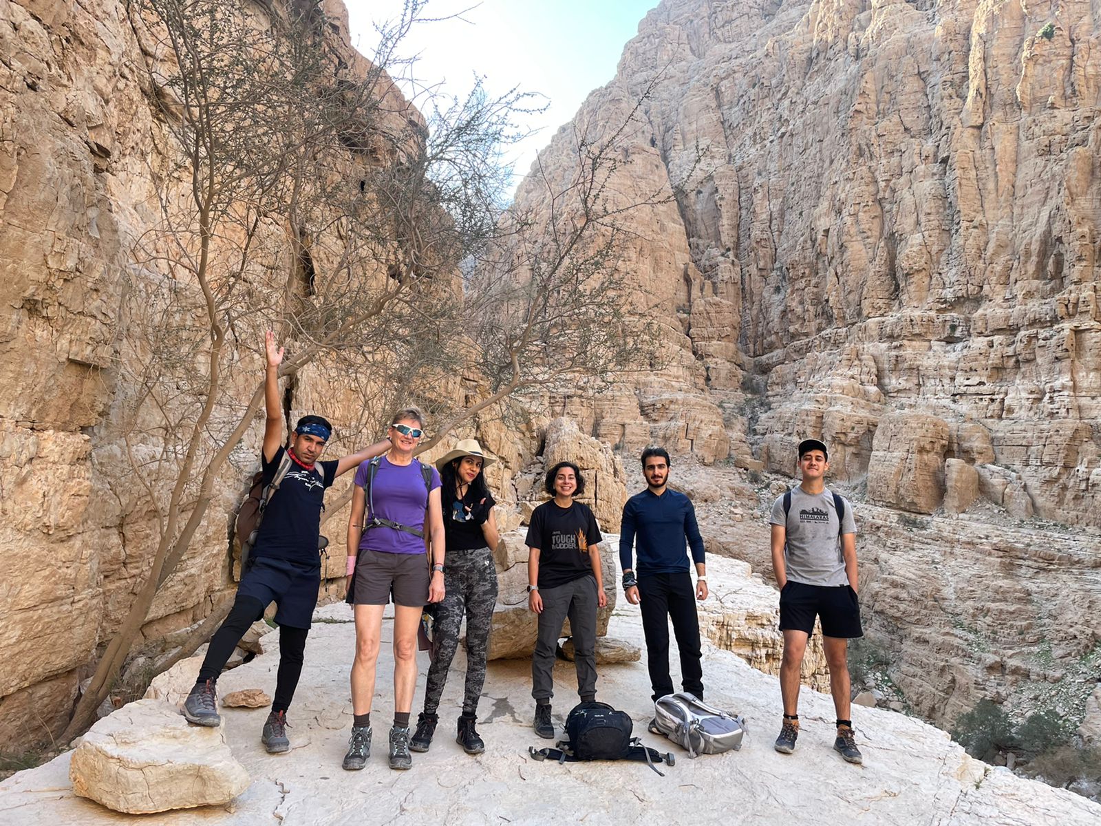 Alpine Trekkers