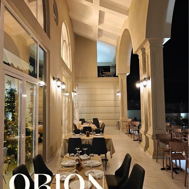 Orion Palace Boutique Hote