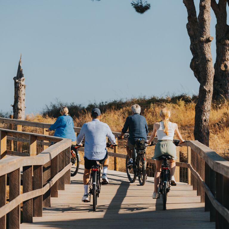 Martins ebike