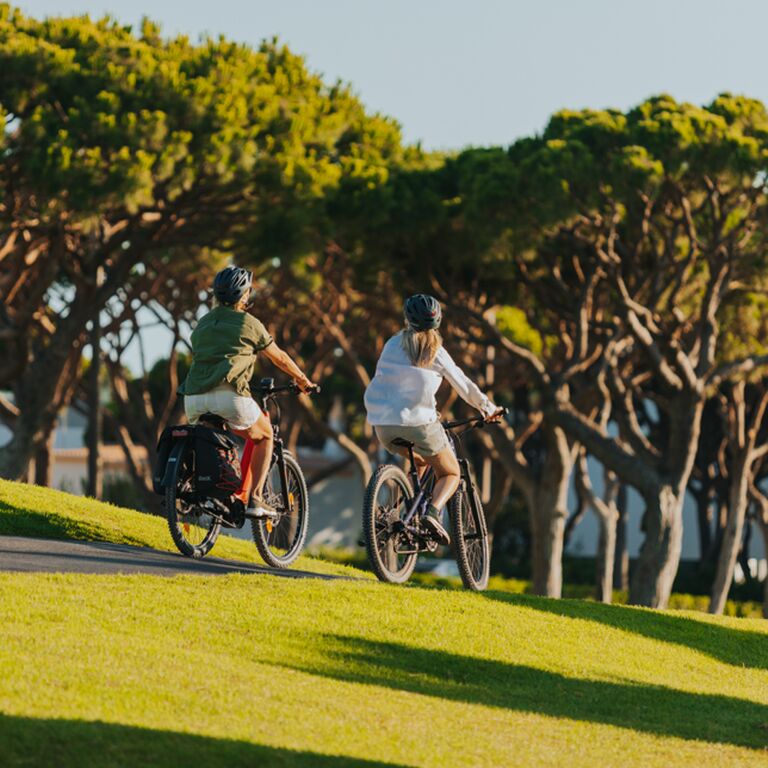 Martins ebike