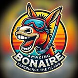 Amazing Bonaire