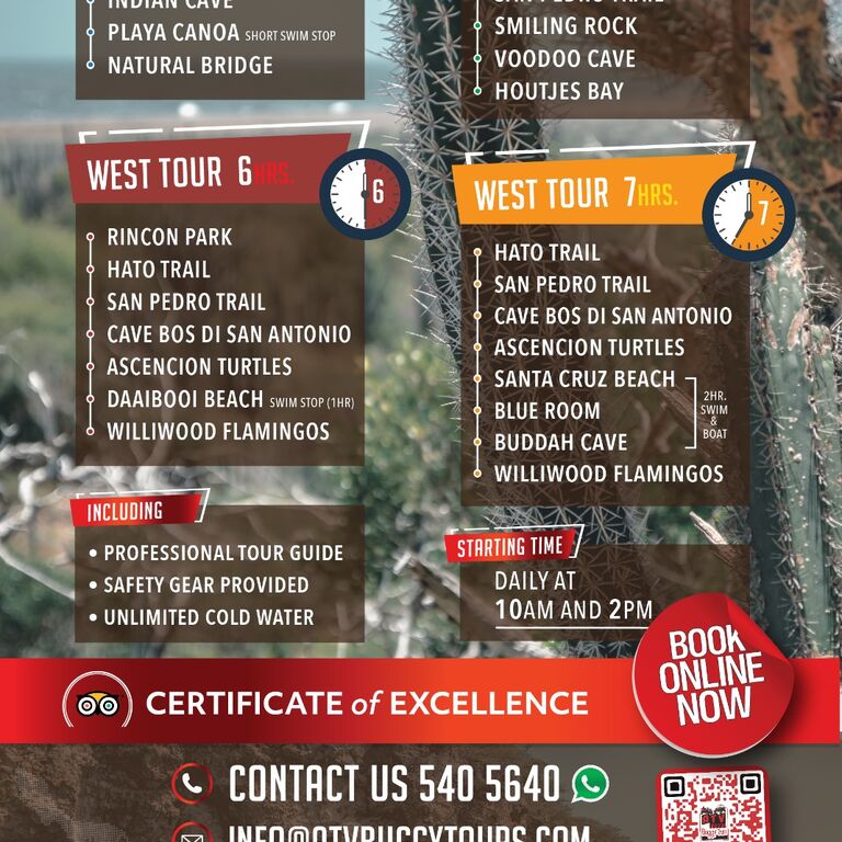 ATV & Buggy Tours Curacao