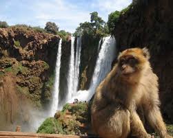 ouzoud waterfalls day trip from marrakech