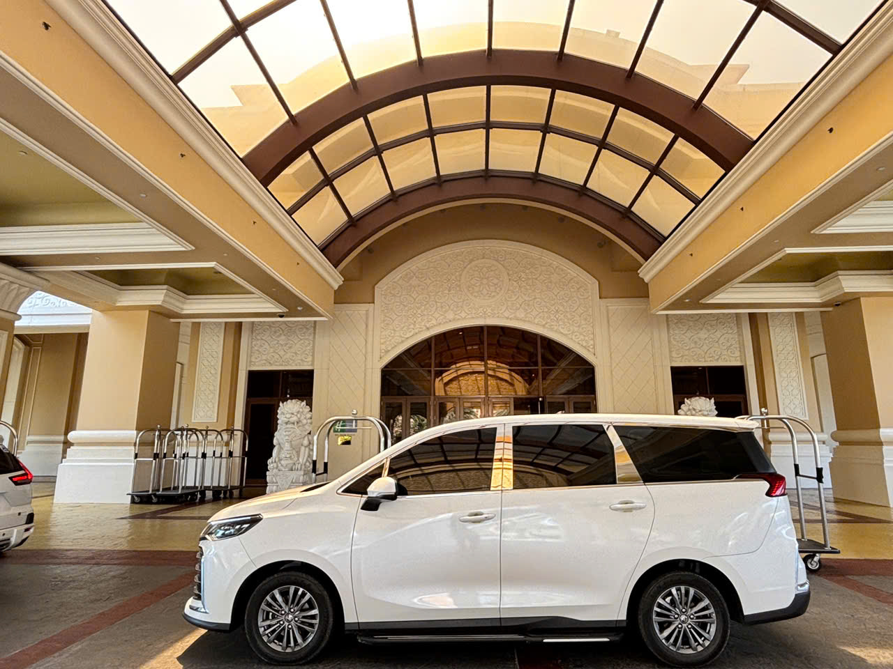 TMDVVT HLT COMPANY LIMITED