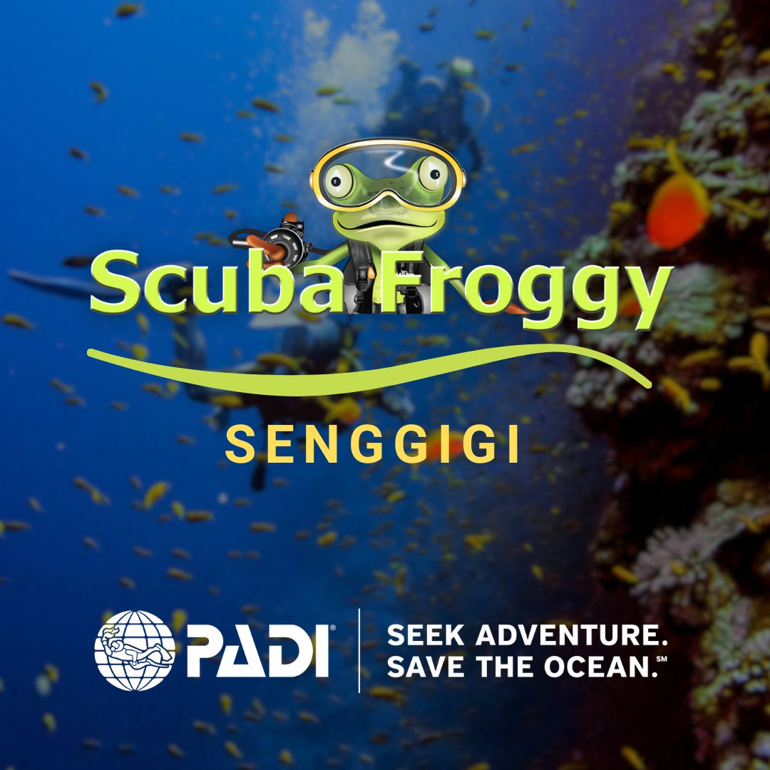 SCUBA FROGGY PADI Dive Center