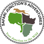 Safari Junction's Adventures