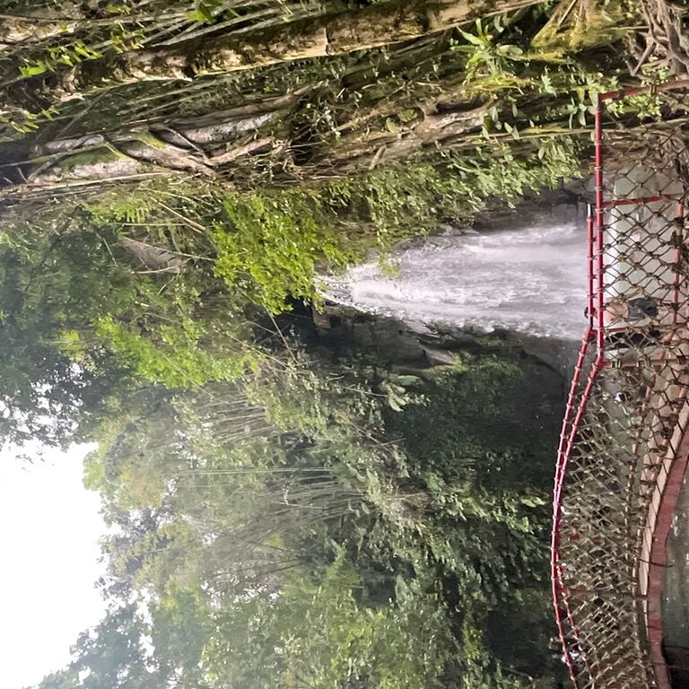 Sindu Bali Driver
