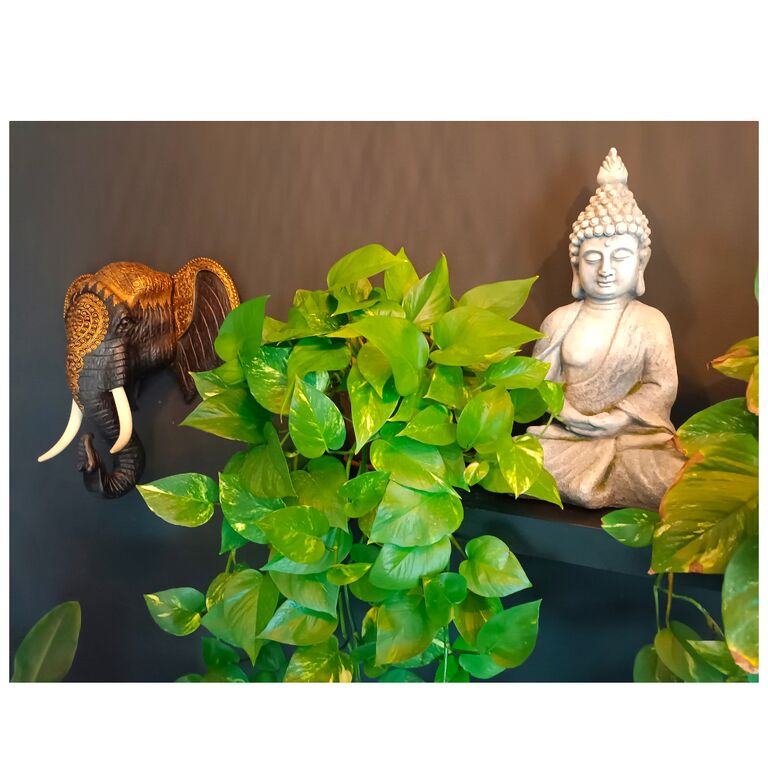 Thai Lanna massage