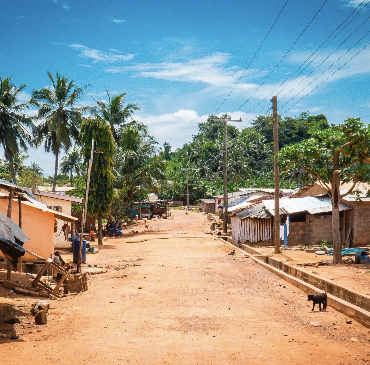 Loshe’s Surf School