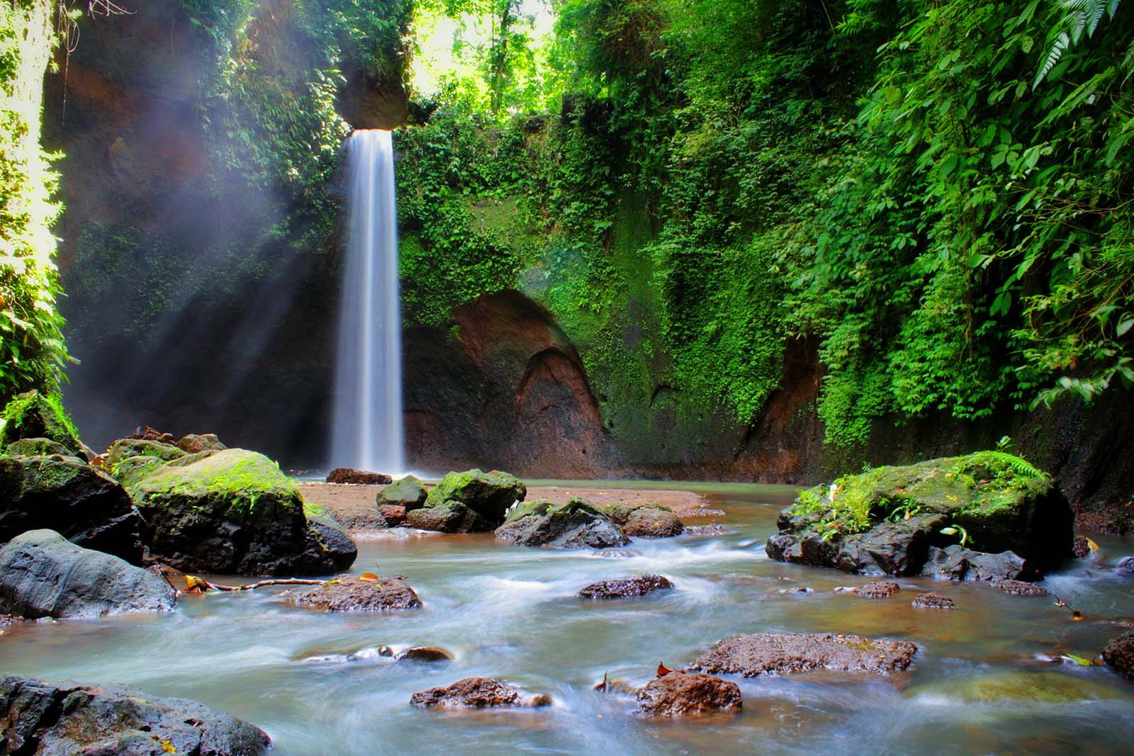 Online Bali Driver And Tours