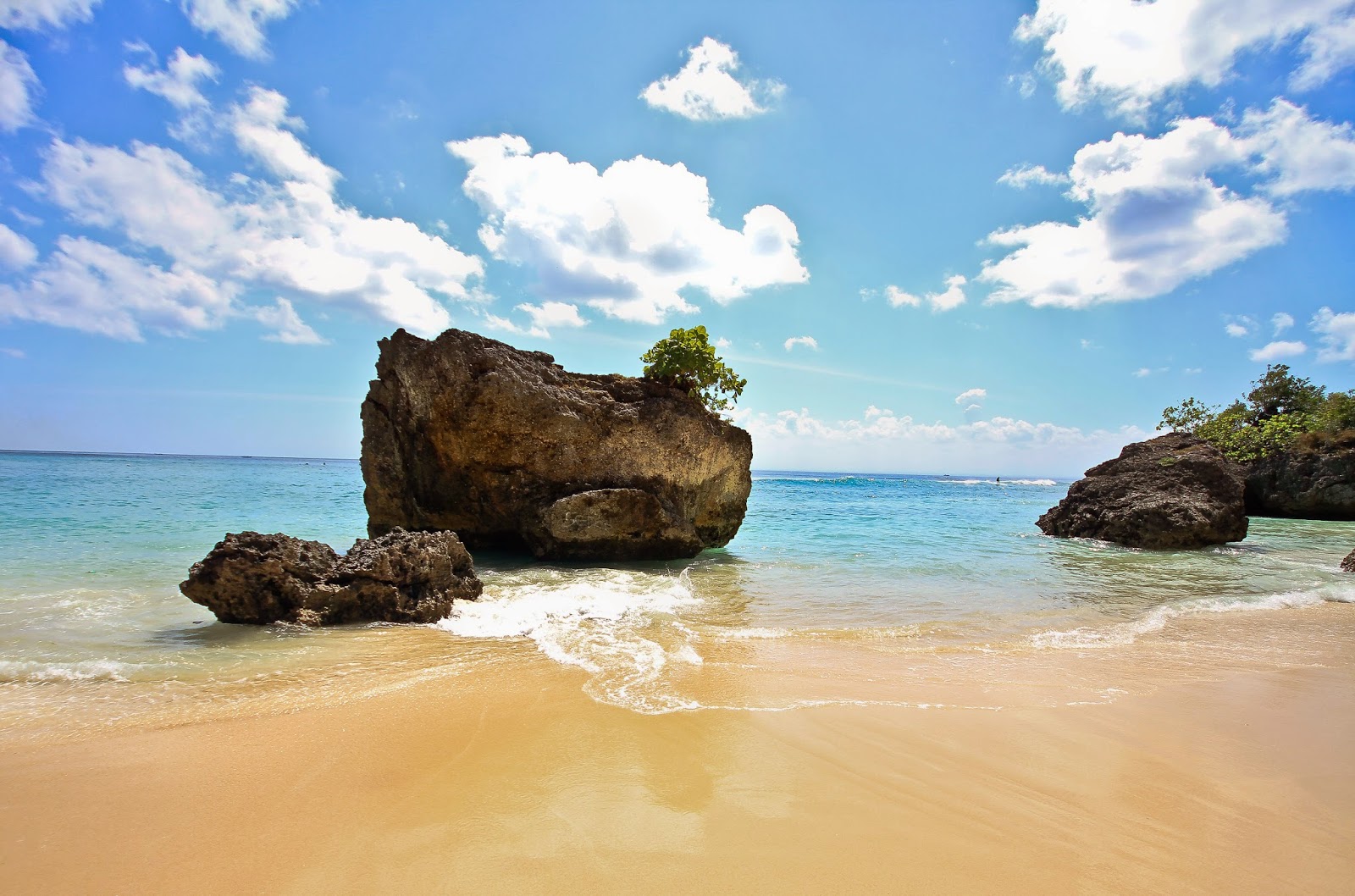 Online Bali Driver And Tours