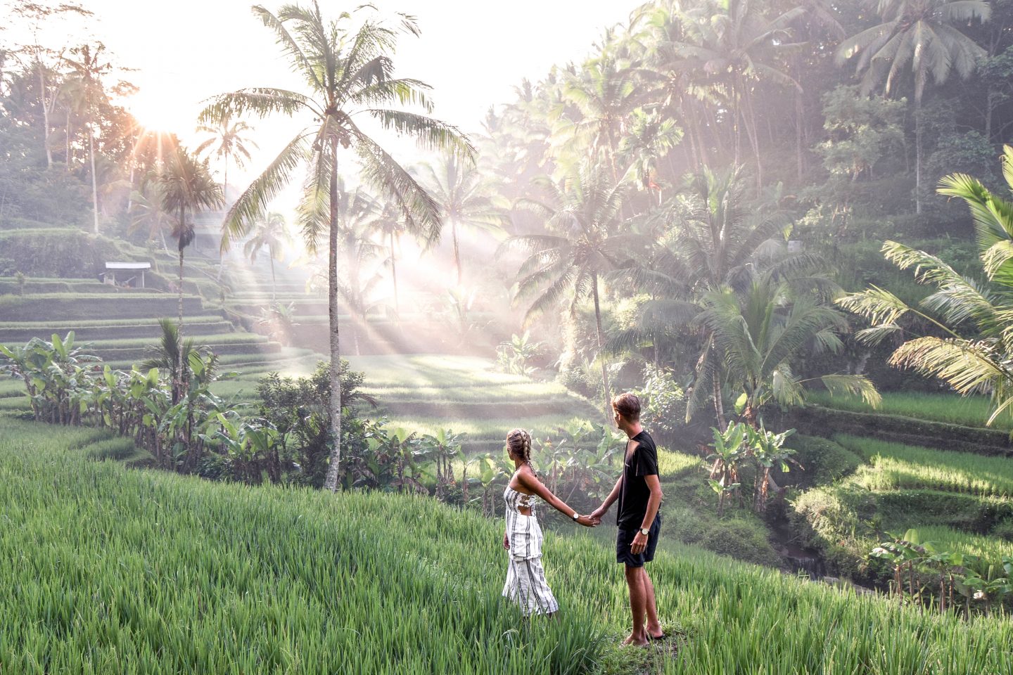 Online Bali Driver And Tours