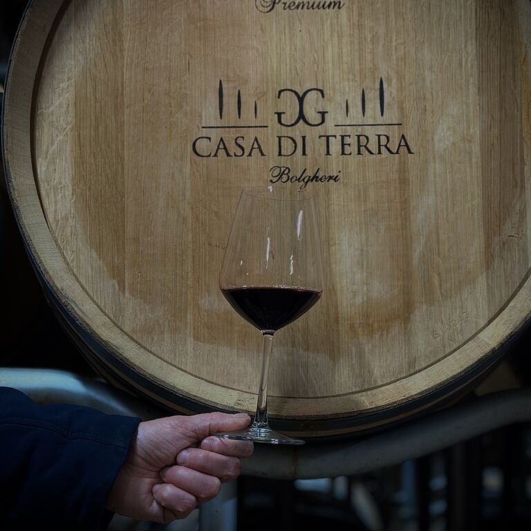 Fattoria Casa di terra