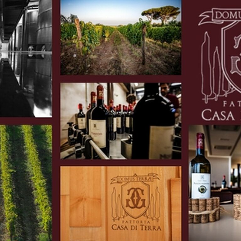 Fattoria Casa di terra