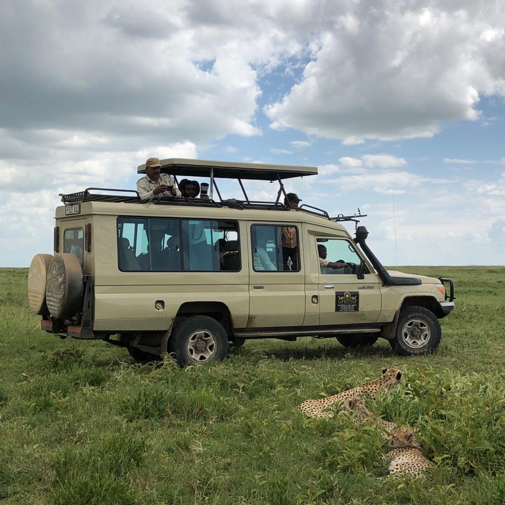 Lifestyle Safaris & Holidays
