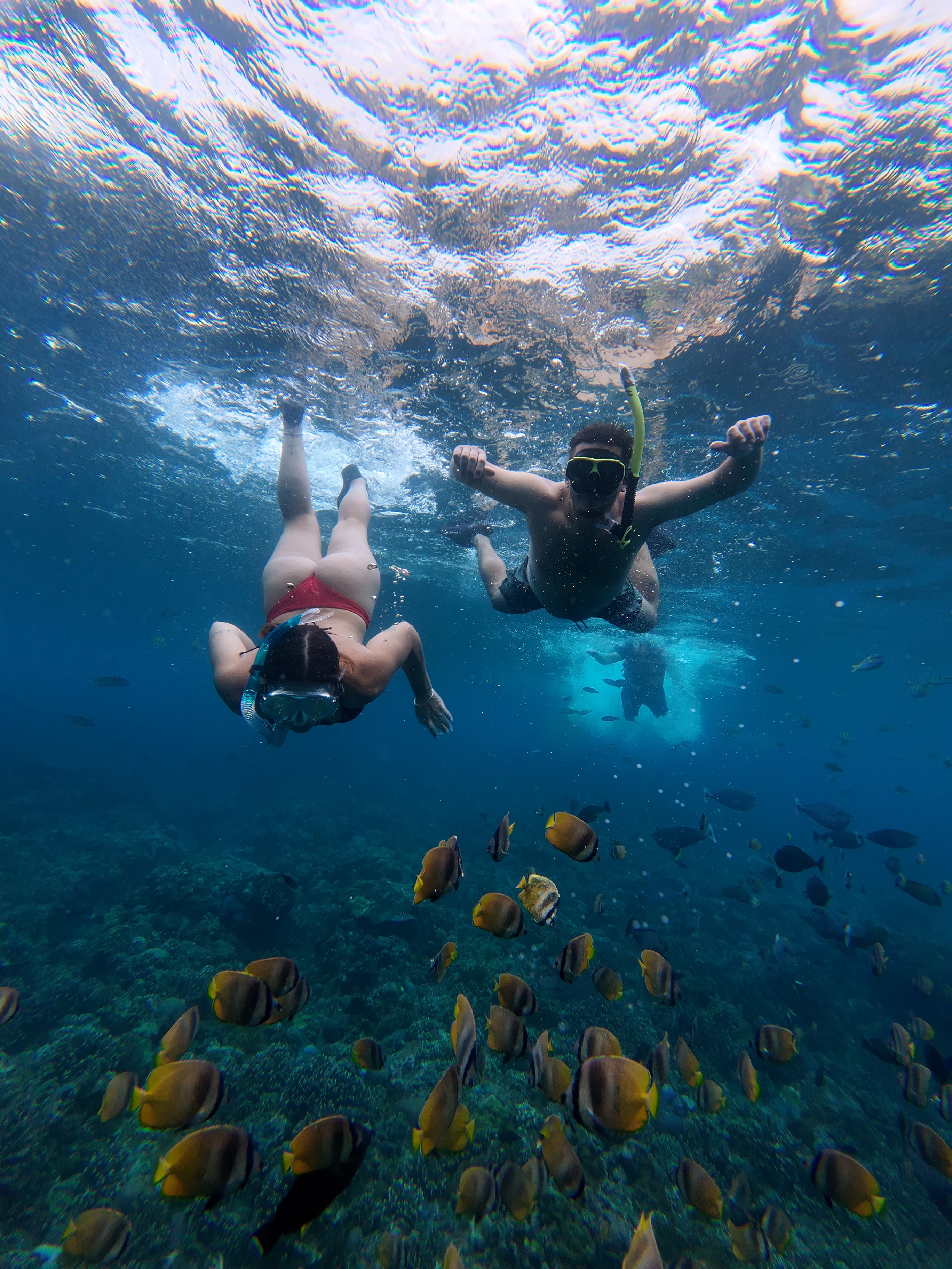 Nusa Penida Tour & Snorkeling