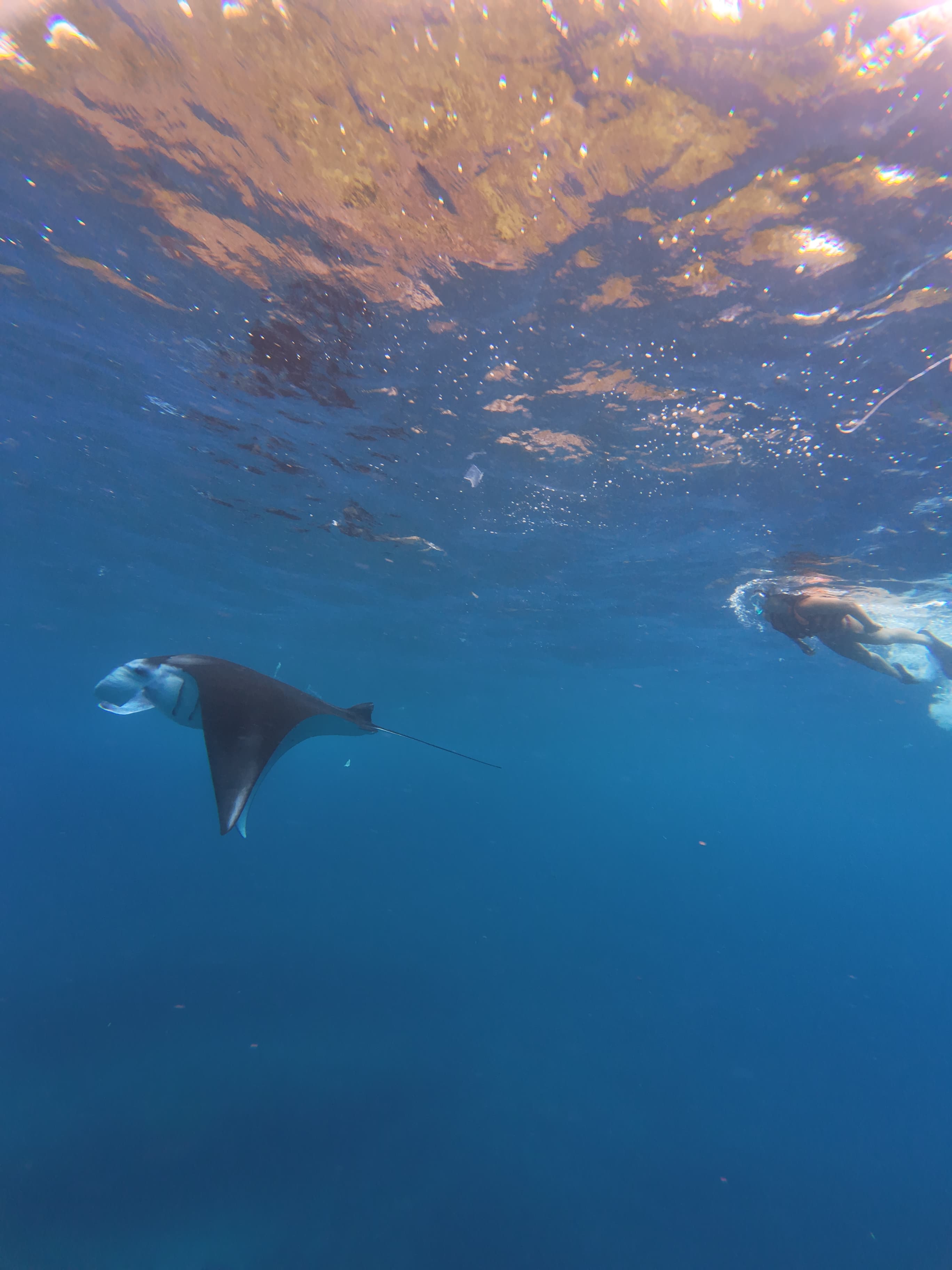 Nusa Penida Tour & Snorkeling