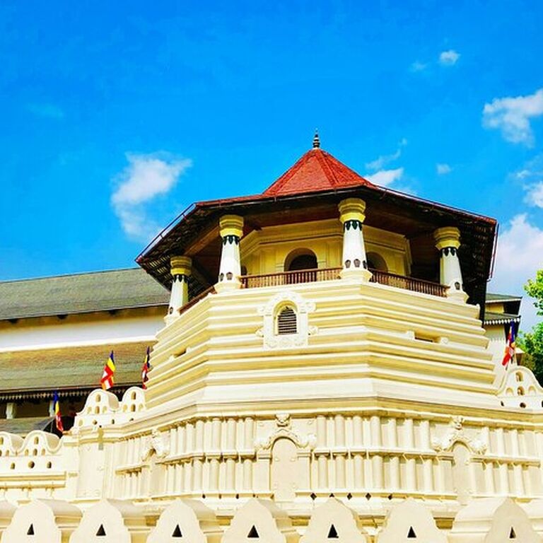 Sri Lanka Red Dragon Tours