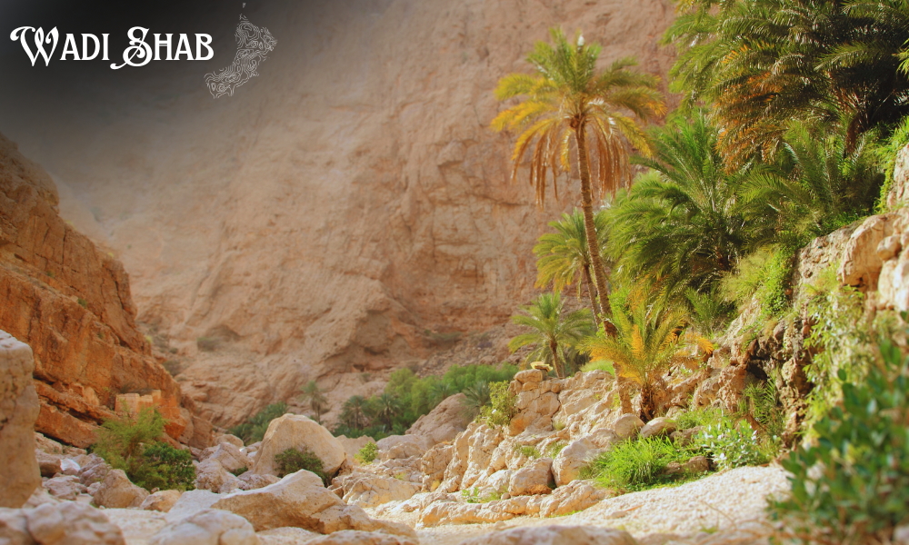 Horizon Travel and Tourism