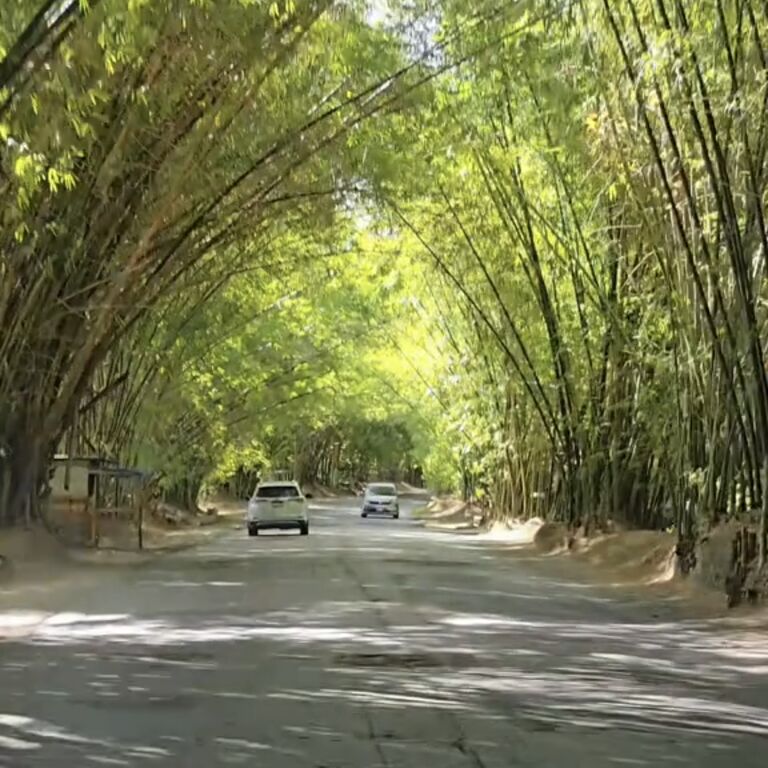 Tours in Jamaica