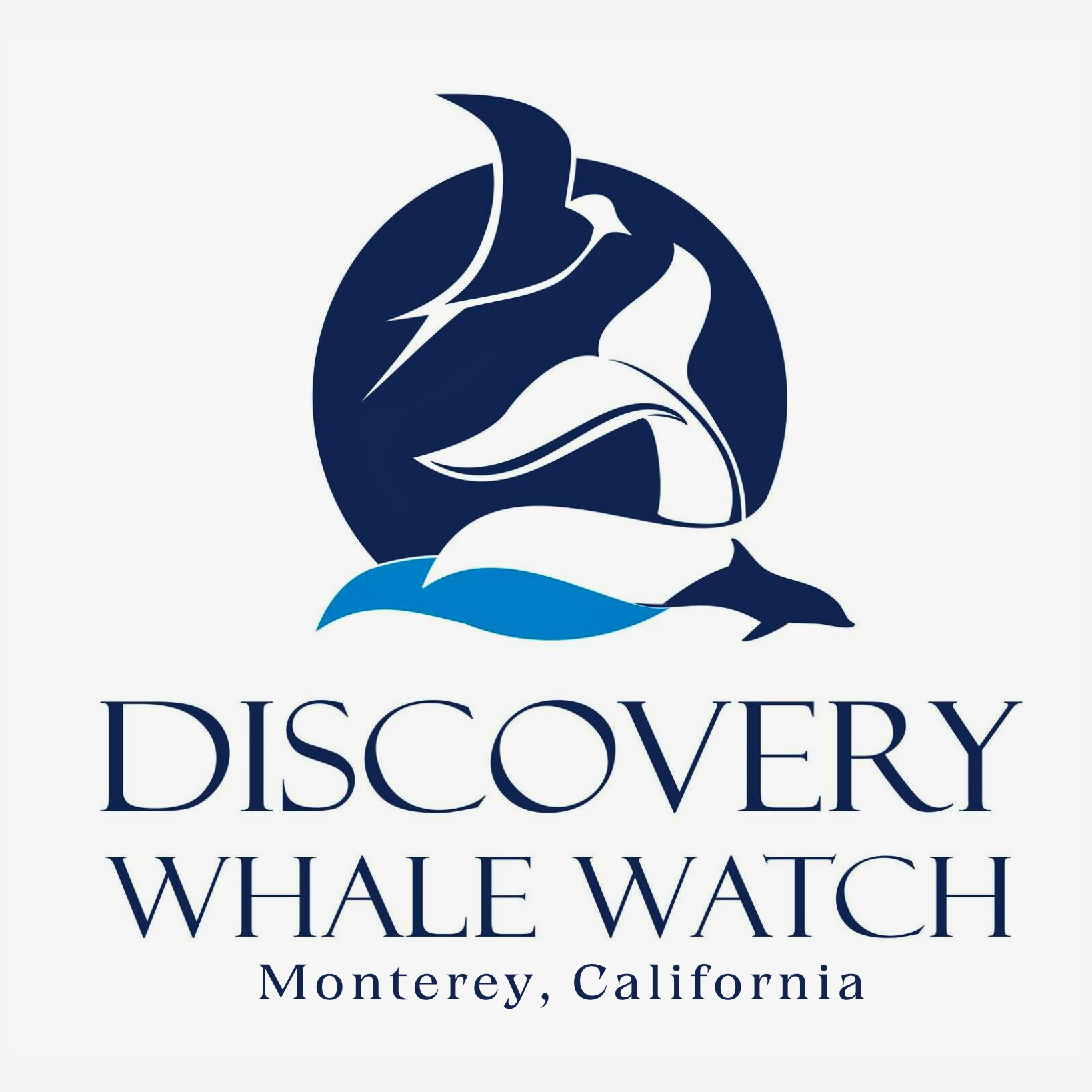 Discovery Whale Watch