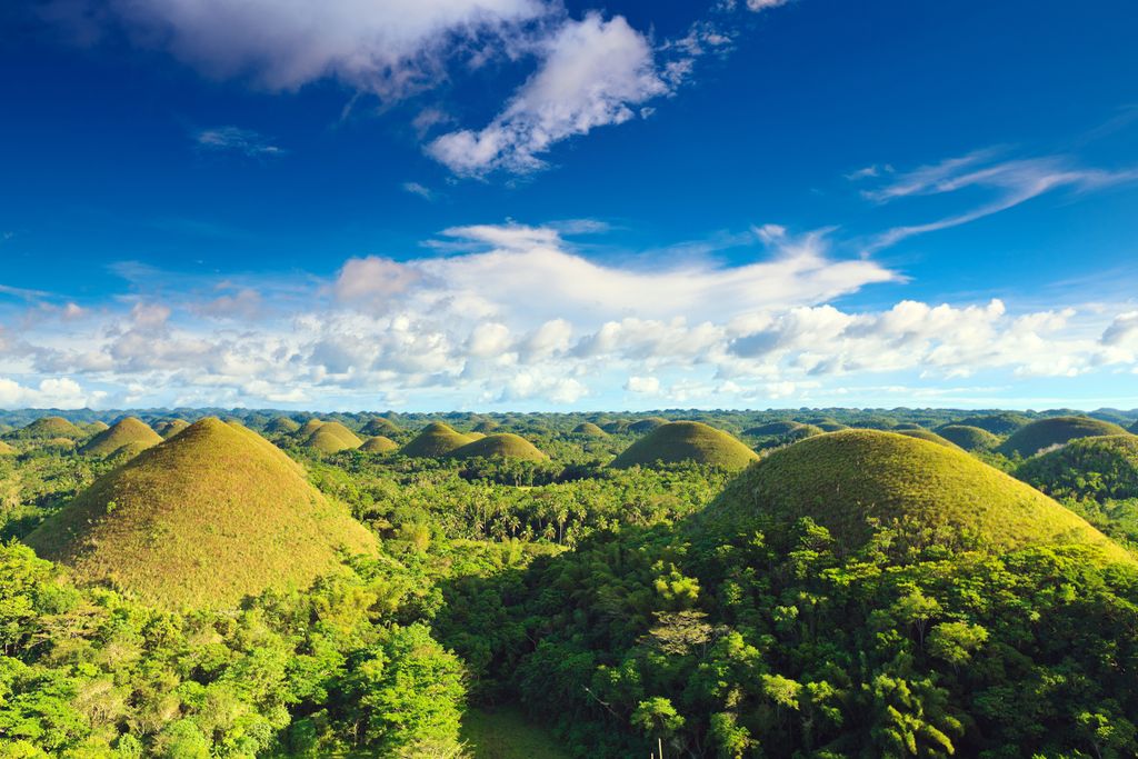 Tarsier Trails Travel & Tours