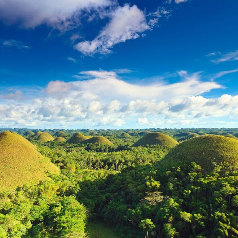 Tarsier Trails Travel & Tours