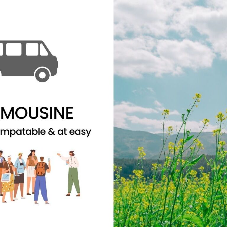 AIRLIMOUSINE