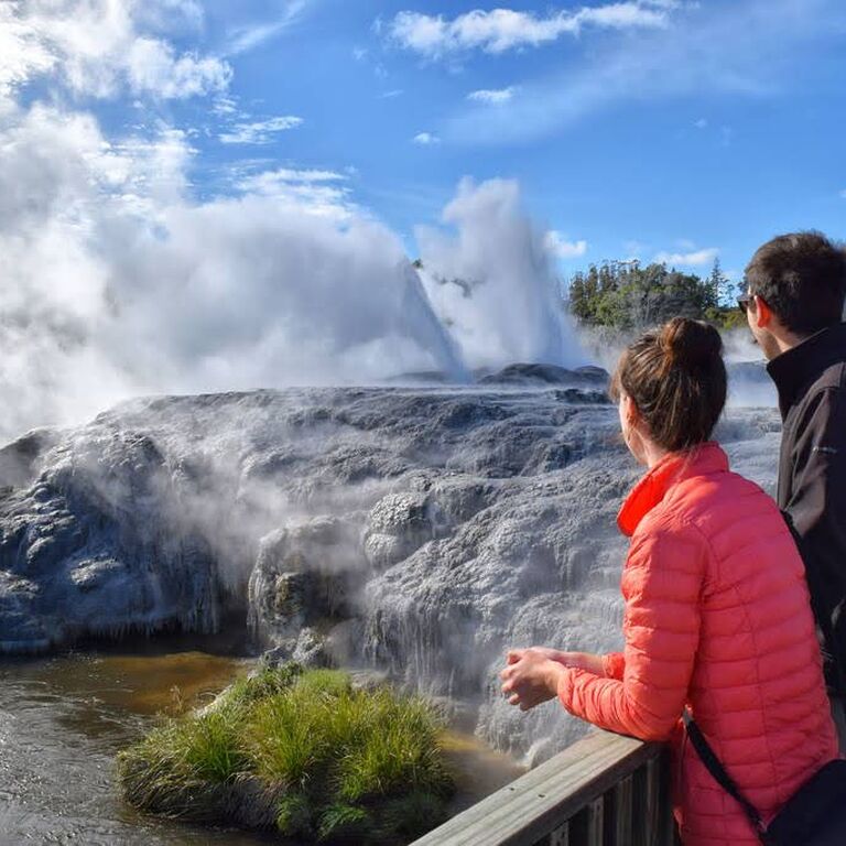 Tauranga Cruise and Tour Ltd