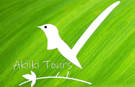 Akiiki Tours