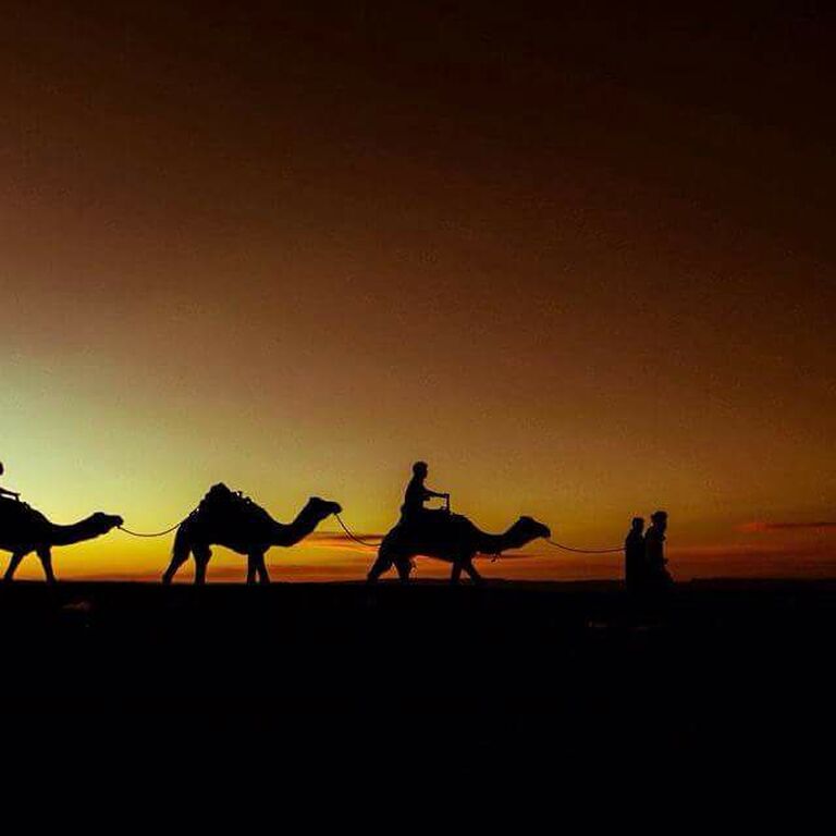 Desert Nomad Eperience