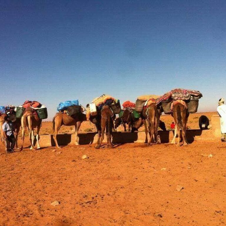 Desert Nomad Eperience
