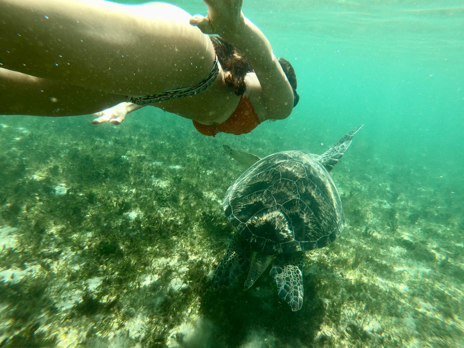 Best Trip Nosybe Madagascar