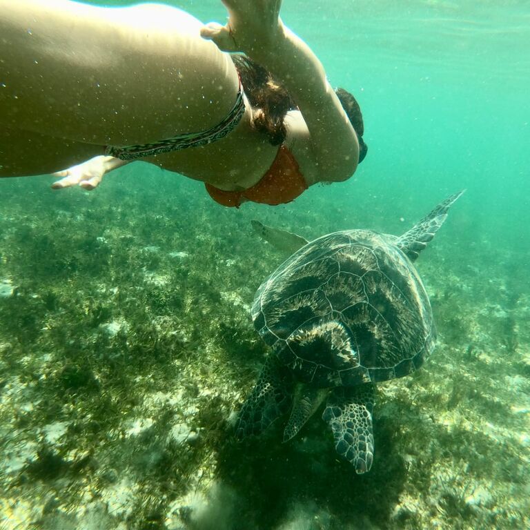 Best Trip Nosybe Madagascar