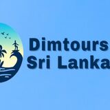 DIM TOURS