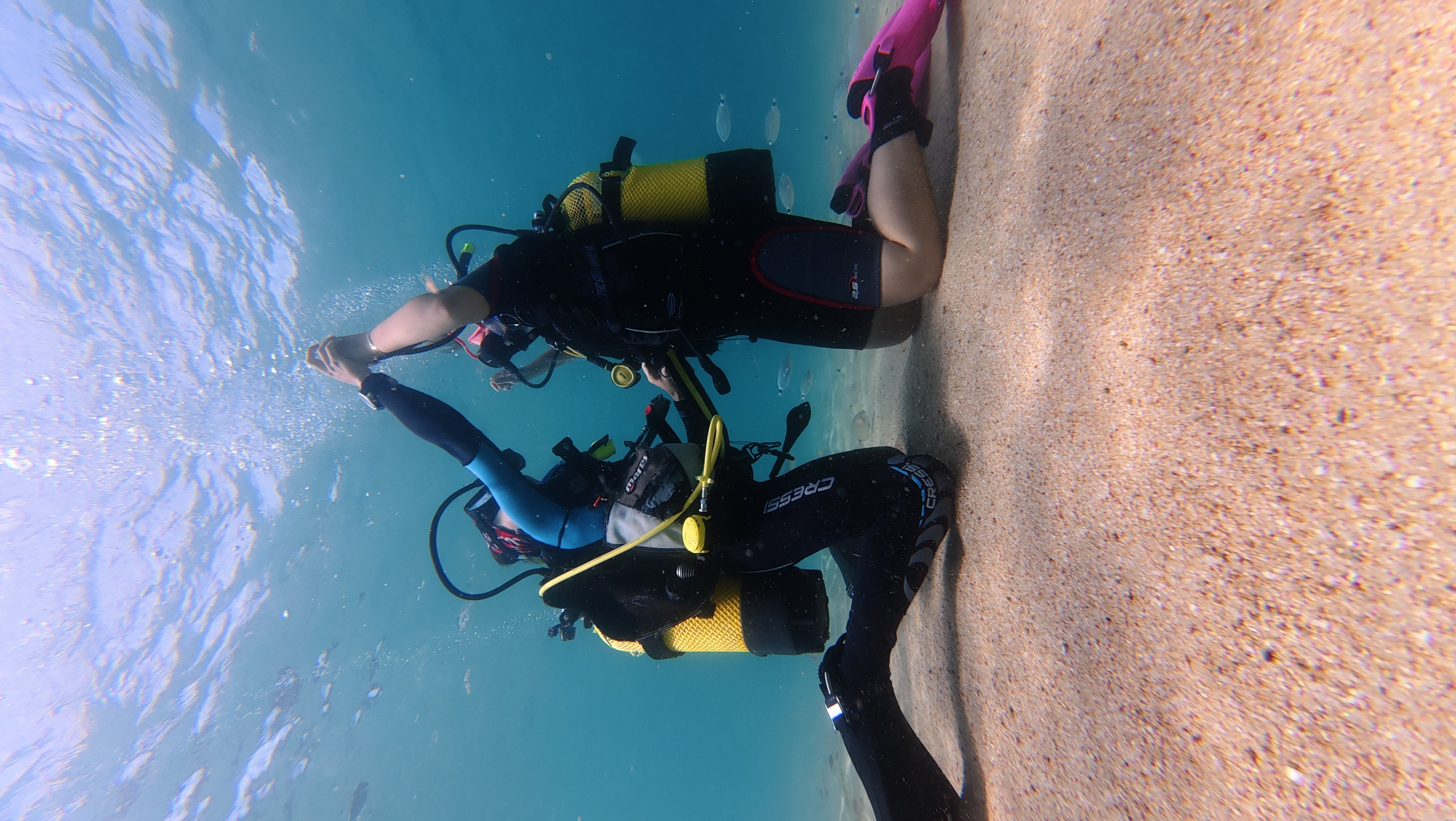 DIVING LA CASA DEL MAR