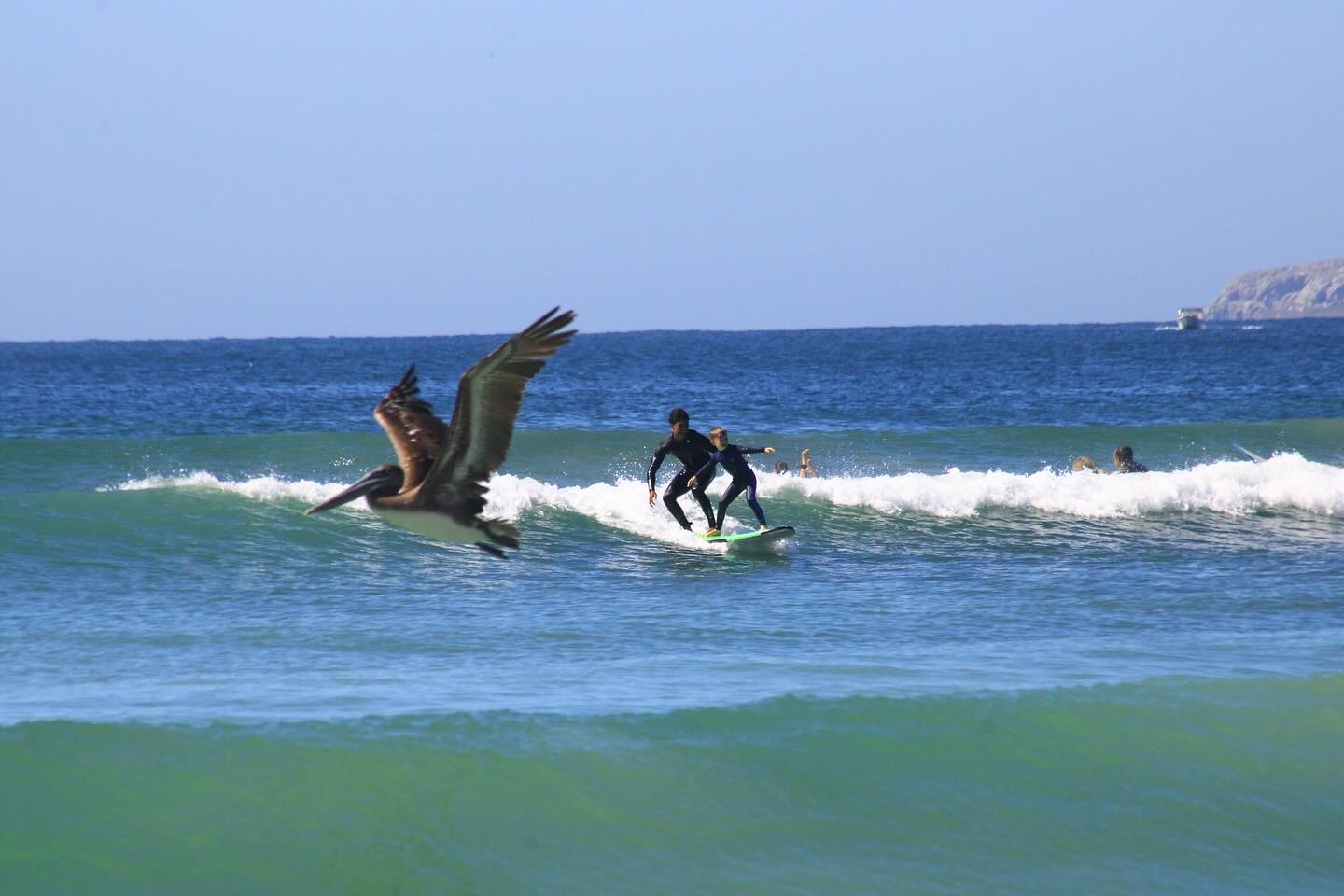 Surf’n Sayulita Surf School