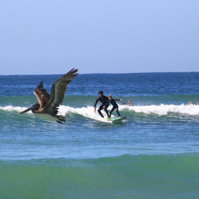 Surf’n Sayulita Surf School