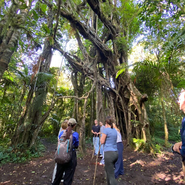 Munduk Danu Bali Tour