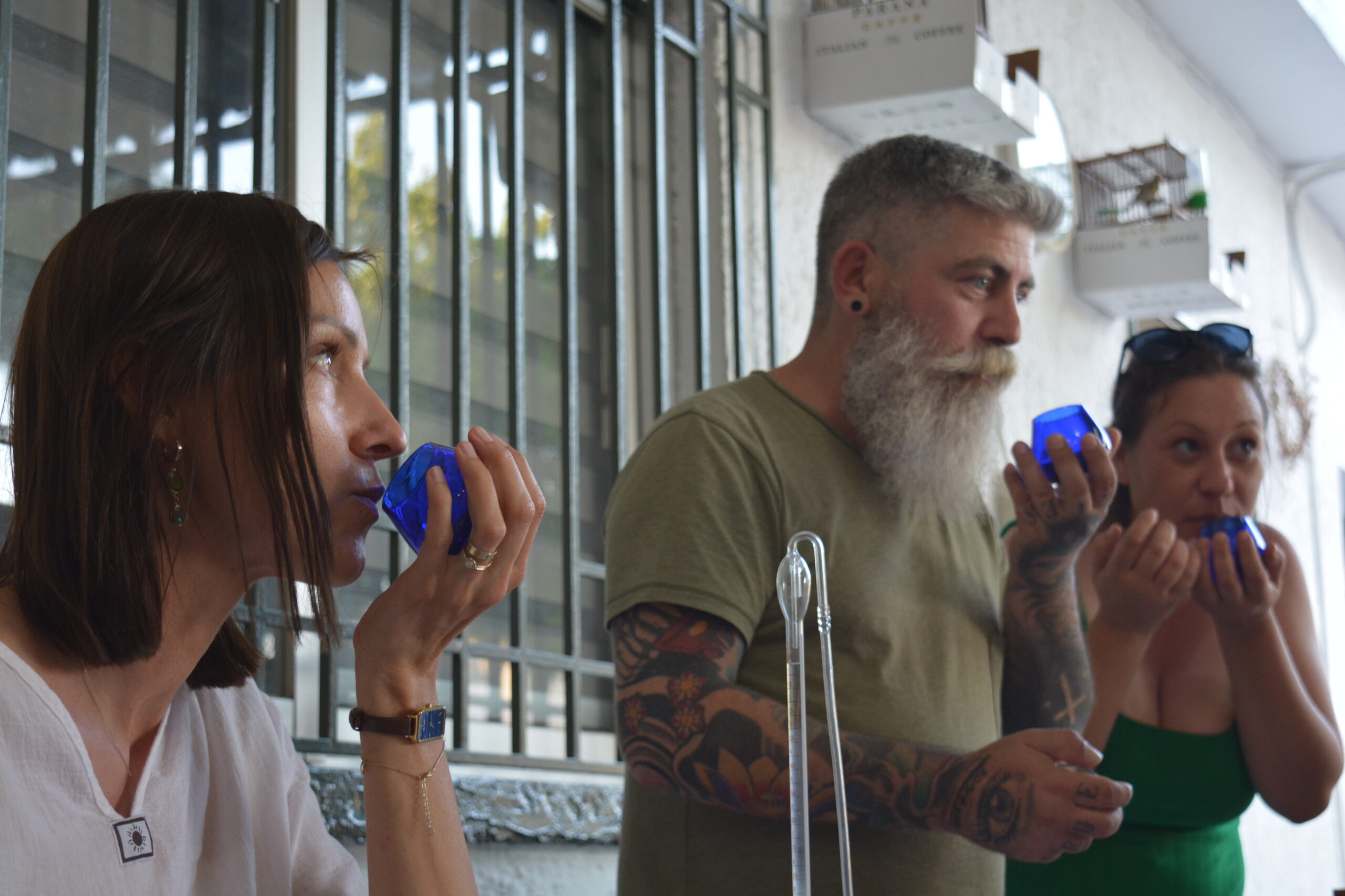 Olives, Olive oil and wine tasting in Rhodes