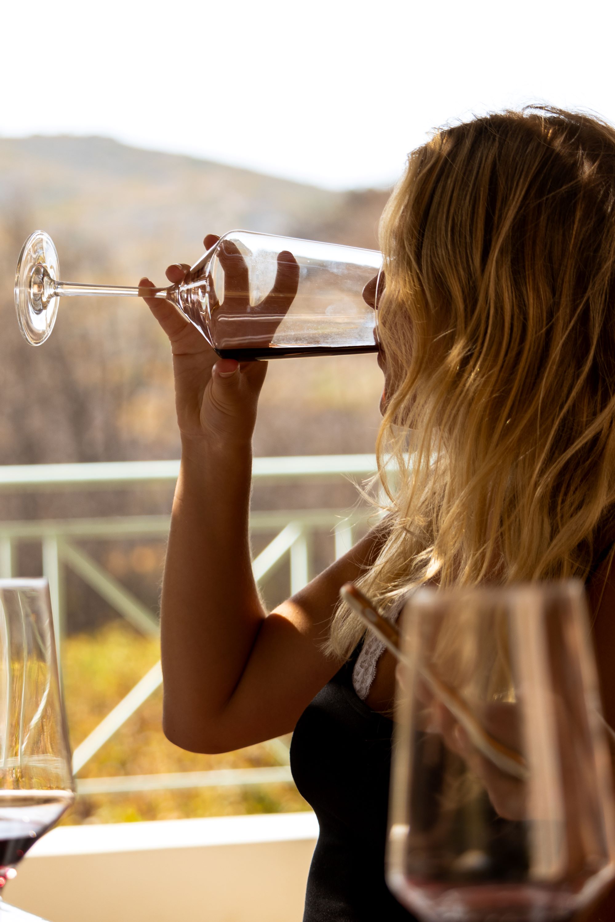 Olives, Olive oil and wine tasting in Rhodes