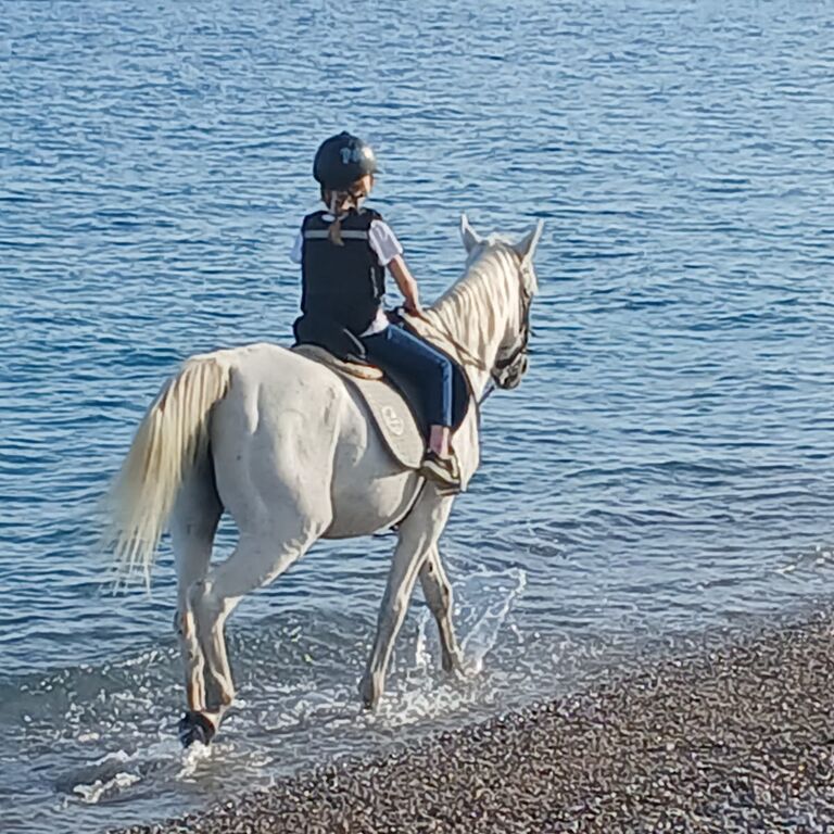 Horse Riding in Rhodes on the BEACH