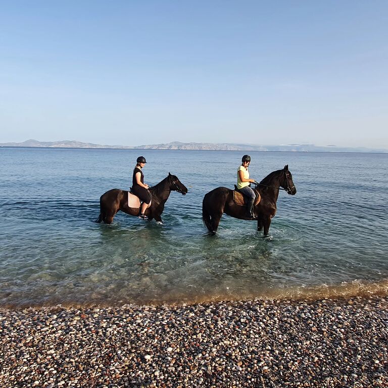 Horse Riding in Rhodes on the BEACH